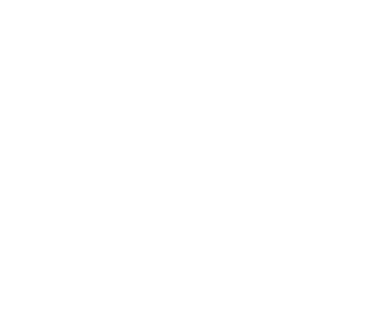 aljazirah falcon